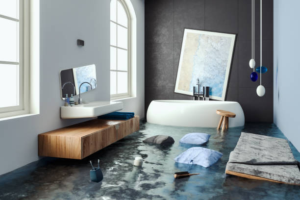 Best Water damage cleanup near me  in Galena Park, TX