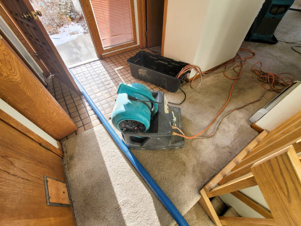Best Carpet water damage restoration  in Galena Park, TX