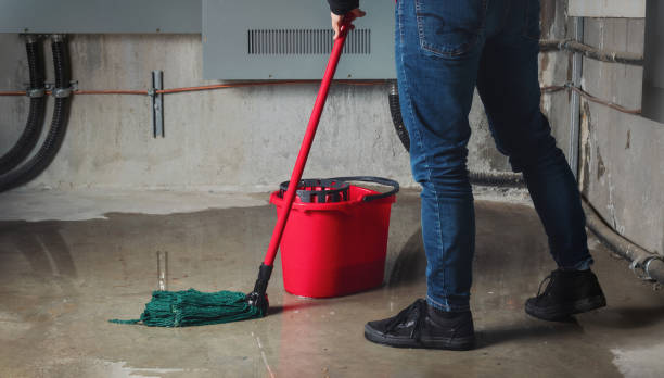 Best Commercial water damage restoration  in Galena Park, TX