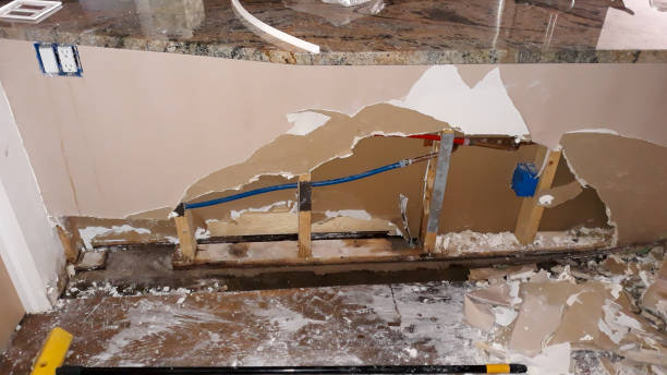 Best Flooded house restoration  in Galena Park, TX