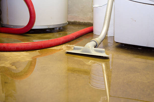 Best Residential water damage restoration  in Galena Park, TX
