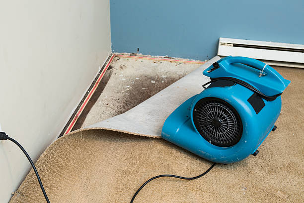 Best Water damage restoration process  in Galena Park, TX